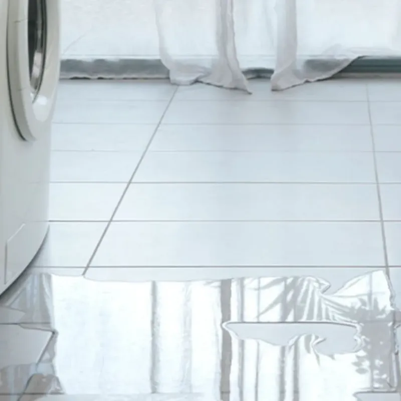 Appliance Leak Cleanup in Melville, LA