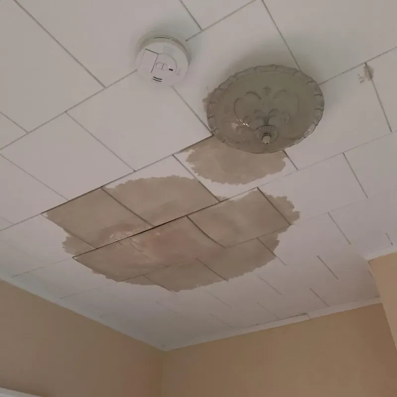 Ceiling Water Damage Repair in Melville, LA