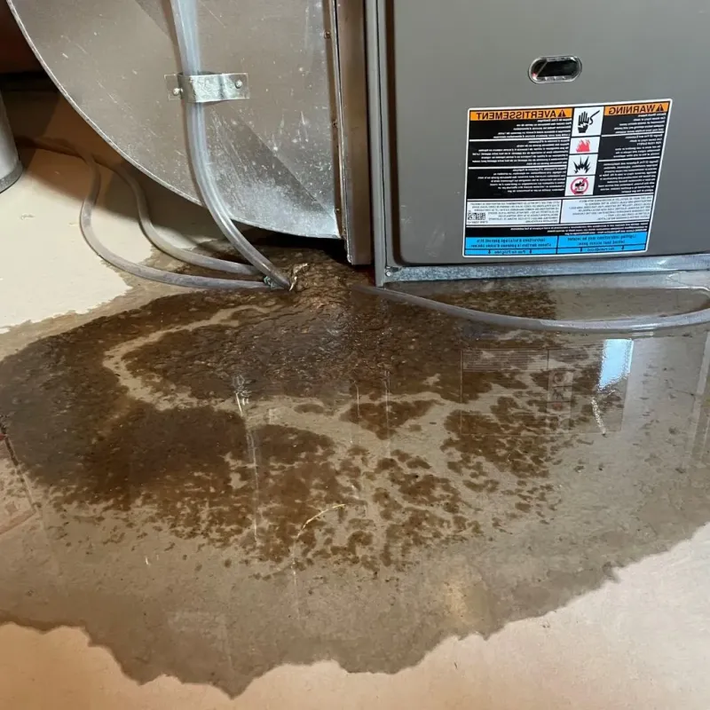 Pipe Burst and Leak Restoration in Melville, LA