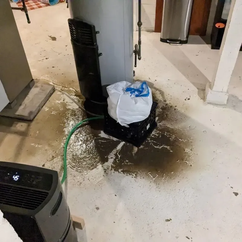 Sewage Backup Cleanup Service in Melville, LA